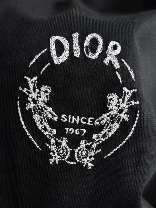 Dior T Shirts Short _SKUDiorS-2XLtltx3916005